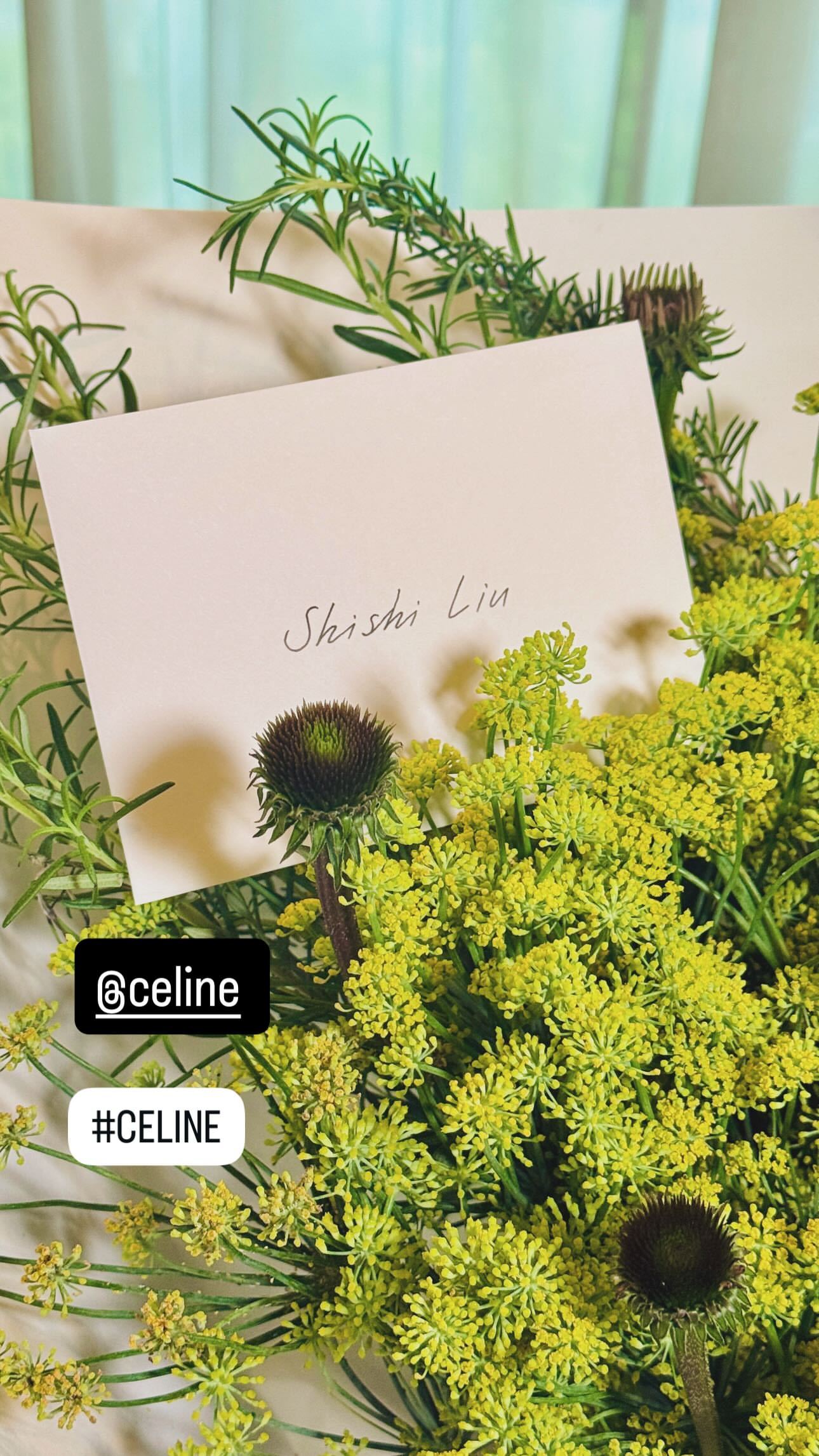 刘诗诗快拍分享Celine邀请函花束Celine笔记本Celine护照夹品牌好用