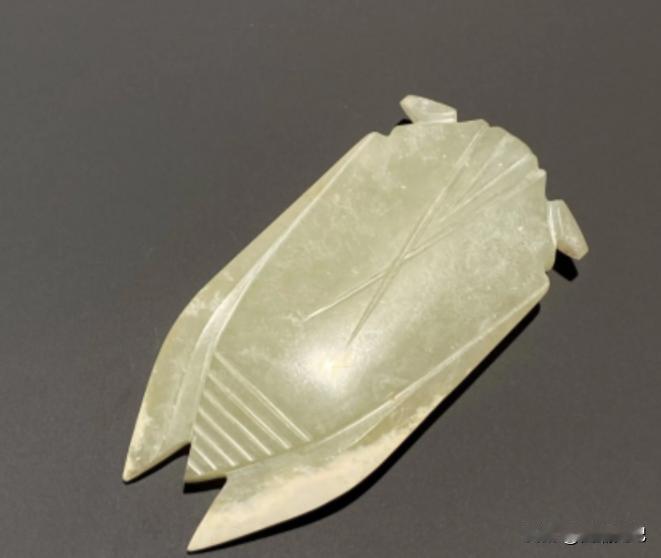 一女子把佩戴5年的玉石拿去鉴宝，说是花500元捡漏的，专家严肃地说：你胆子太大了