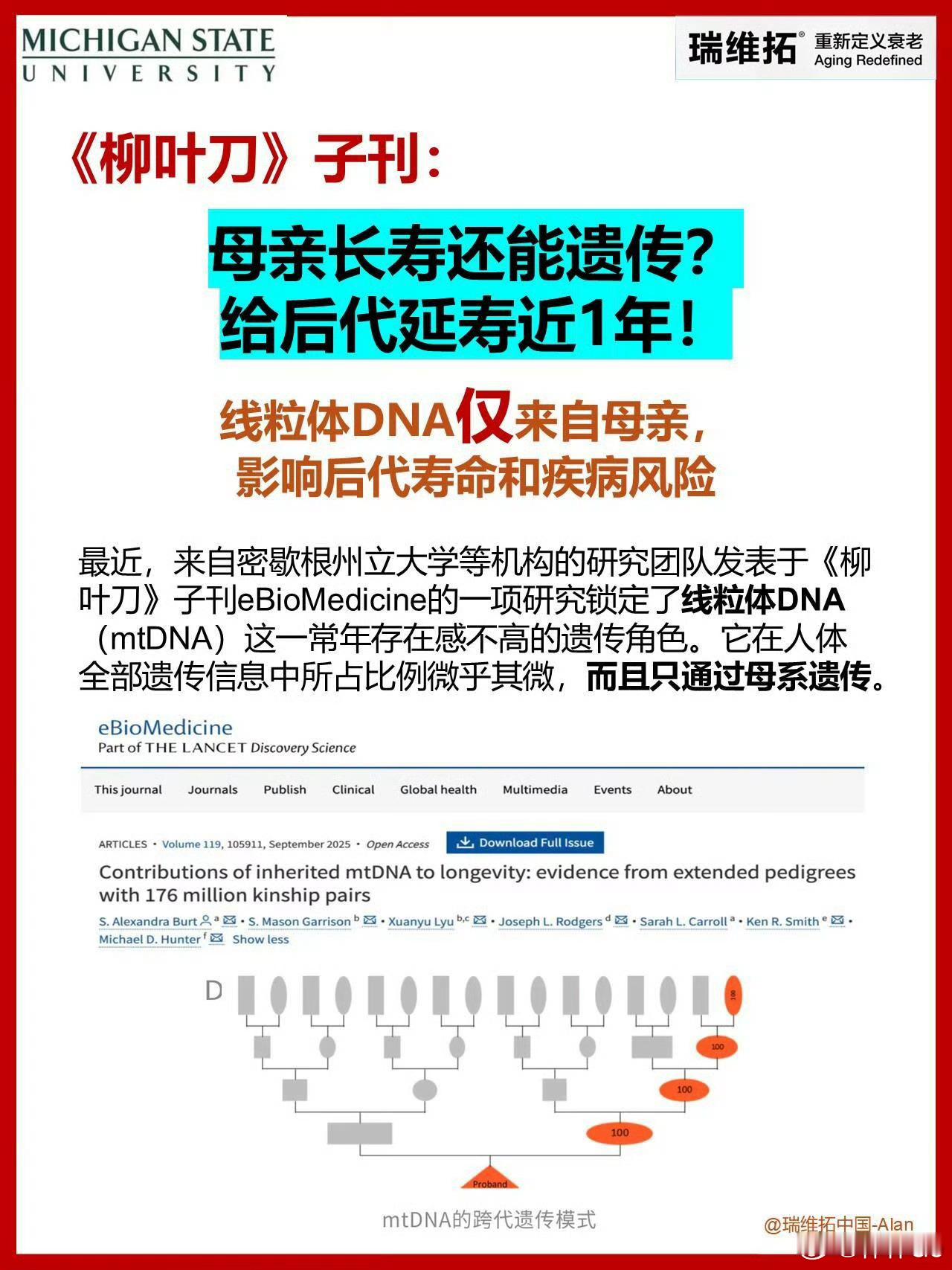我的寿命与外婆和奶奶有关我姥走的时候92，走的头几天还有力气骂人呢。只是医生说，