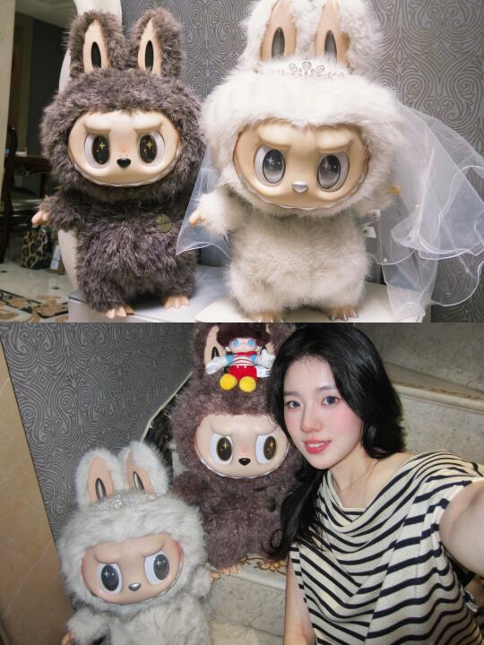 看！是ZIMOMO～