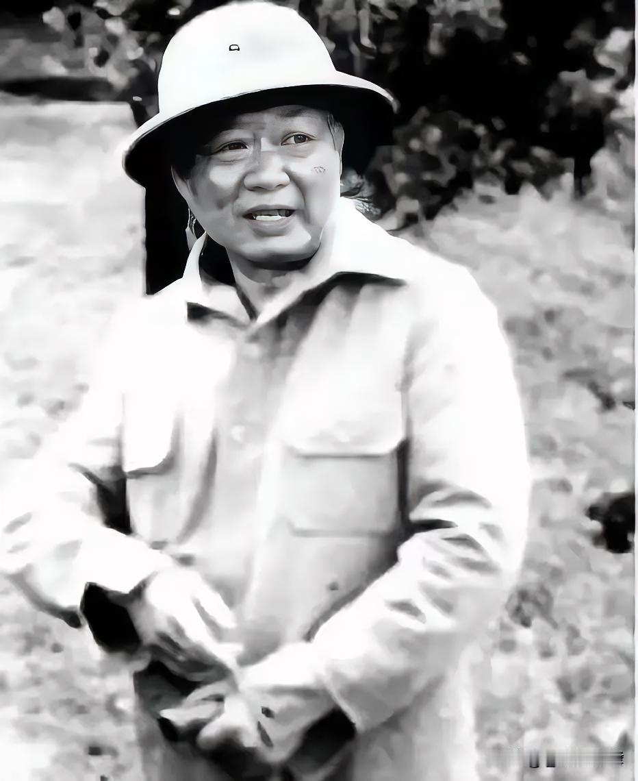 1964美斯乐缴械局！两千残军当众上交枪械，当夜两百匪众连夜偷袭，谁知段希文早留