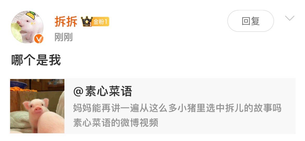 没人懂我笑点吗 ​​​