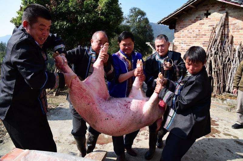 岁末，农村杀猪饭即将开启。这一场传统的盛宴，不仅仅是一顿丰盛的肉宴，更像是一场关