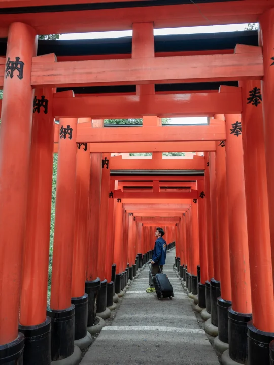 被问疯了！为什么我拍的千本鸟居没有游客？