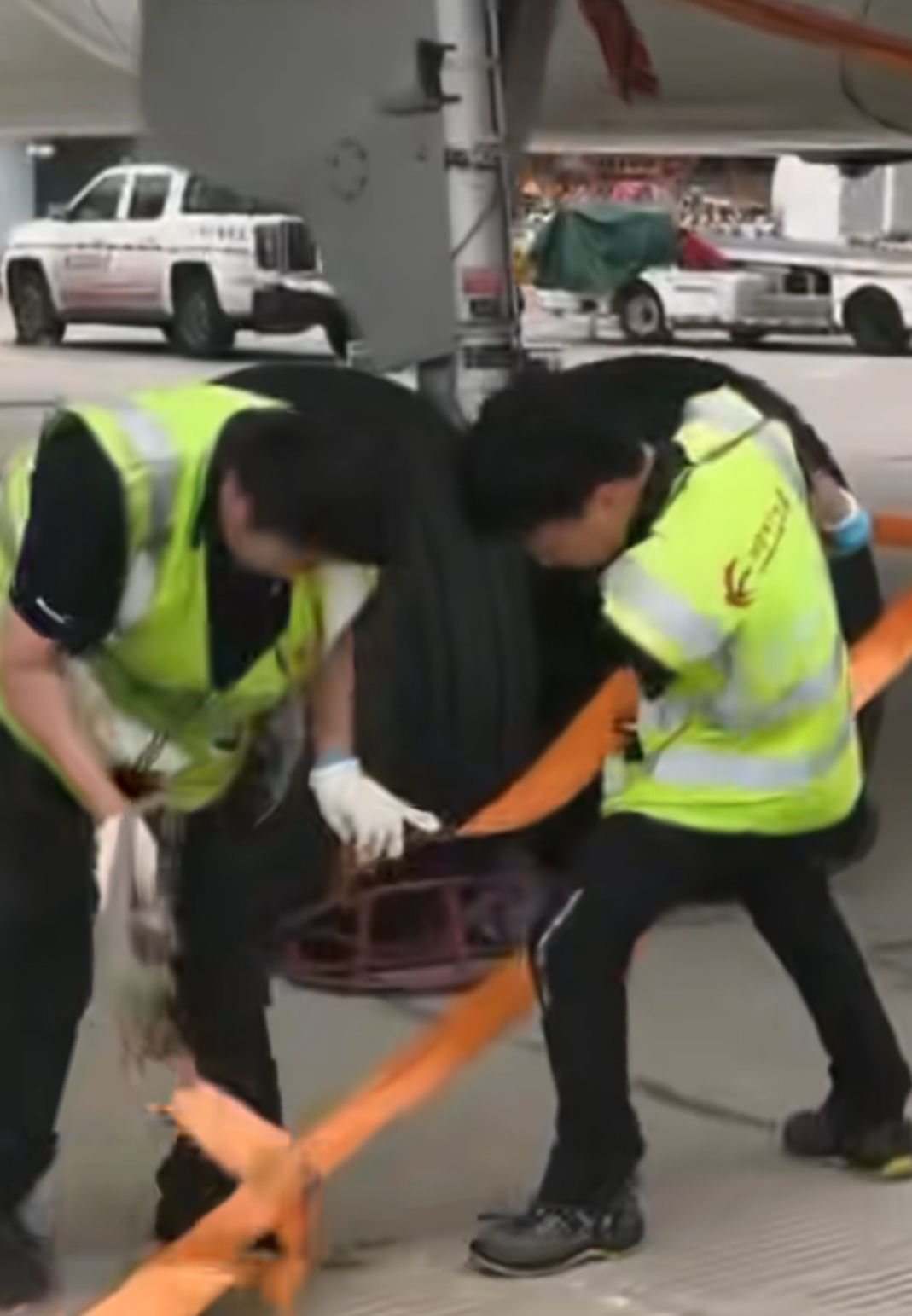 上海机场飞机五花大绑防台风上海台风 “巴威”在即，黑云压城，大家一定要注意安全呐