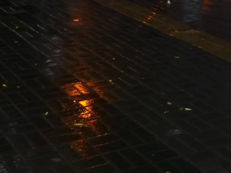 刷到好多人在接“昨夜细雨添愁绪”的下联，翻了几十条评论，真的被大家的巧思戳中。