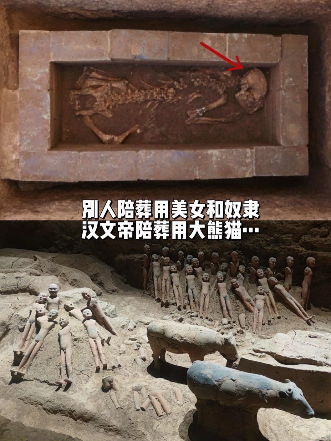 别人陪葬用美女、奴隶，汉文帝用大熊猫……汉文帝霸陵惊现大熊猫骨骼，经检...