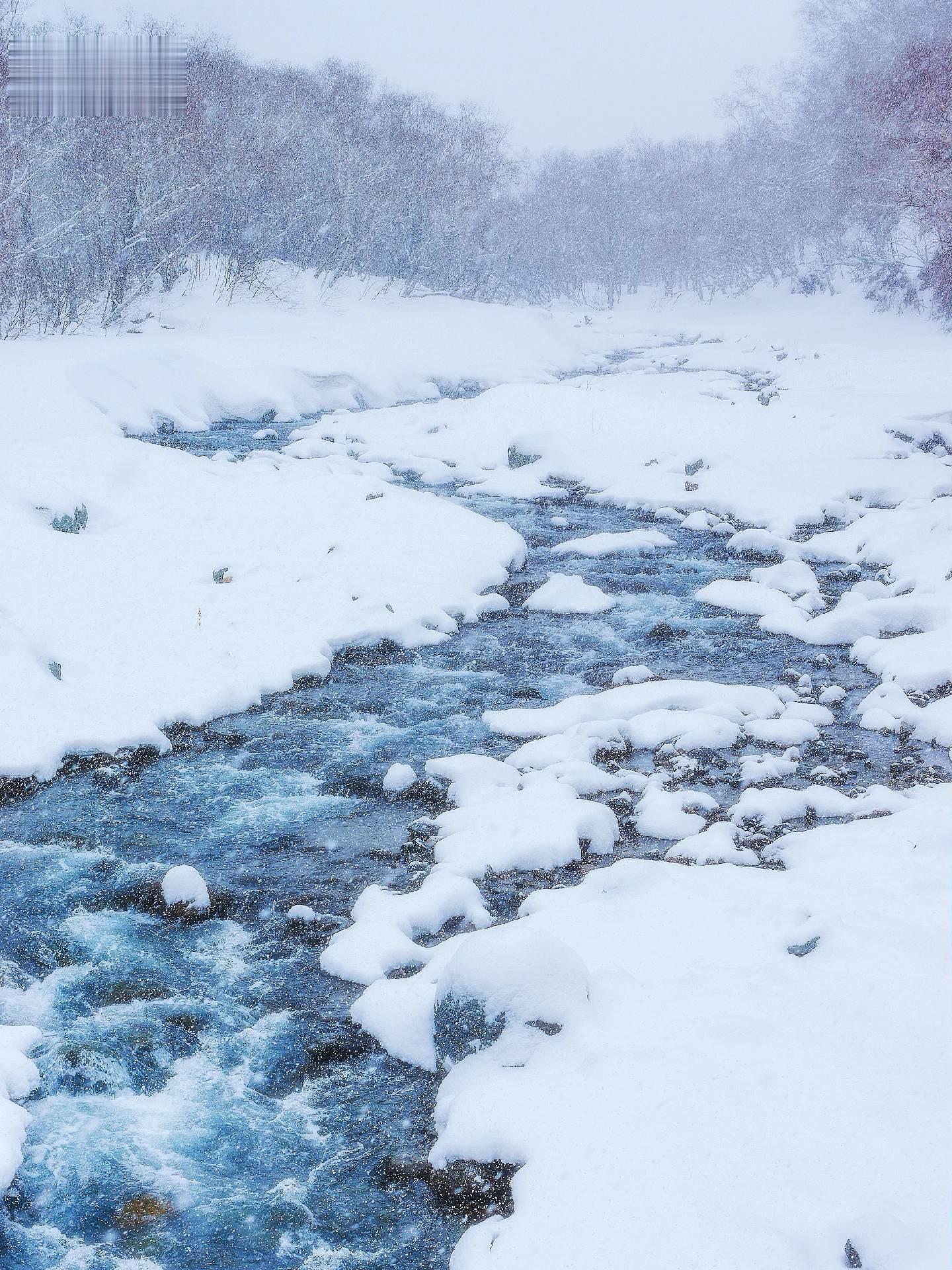 这里不是芬兰🇫🇮是美得不像话的长白山 · “千年积雪万年松，直上人...