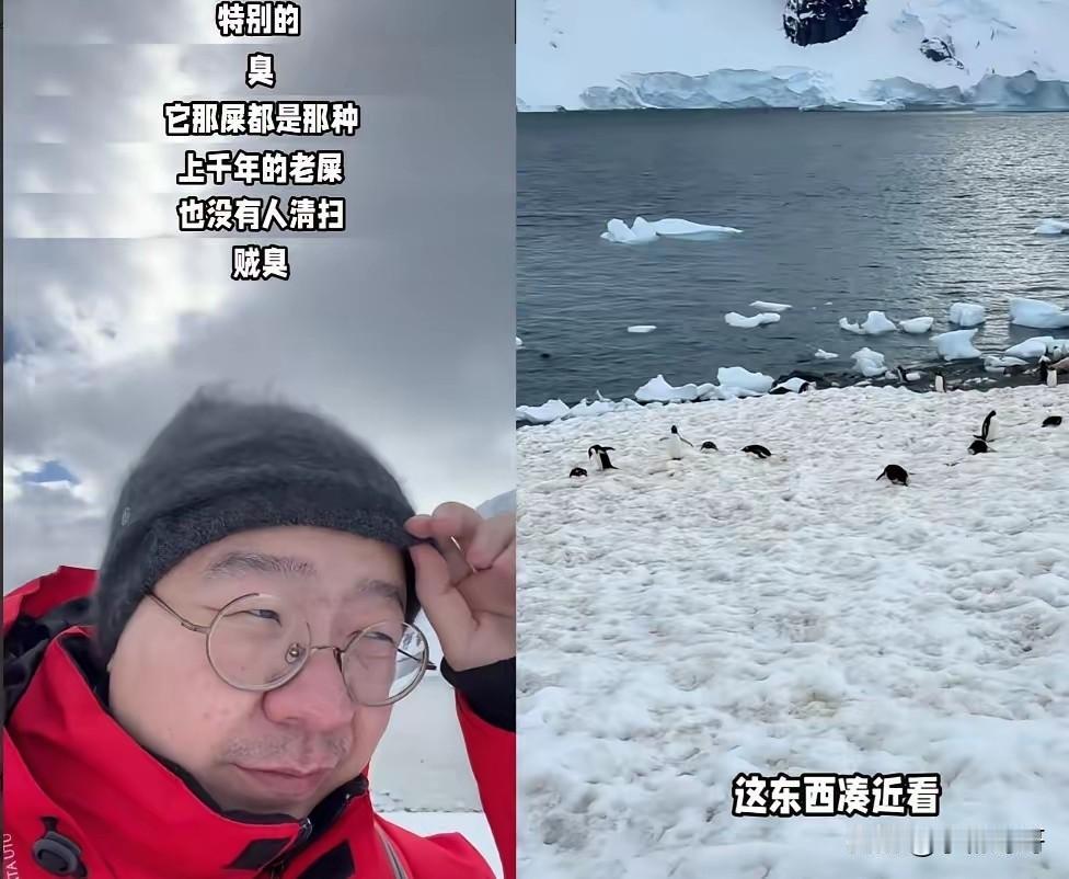 大家发现没？李诞有个过人之处，值得旅行博主学习，那就是真实

李诞的南极旅行视频