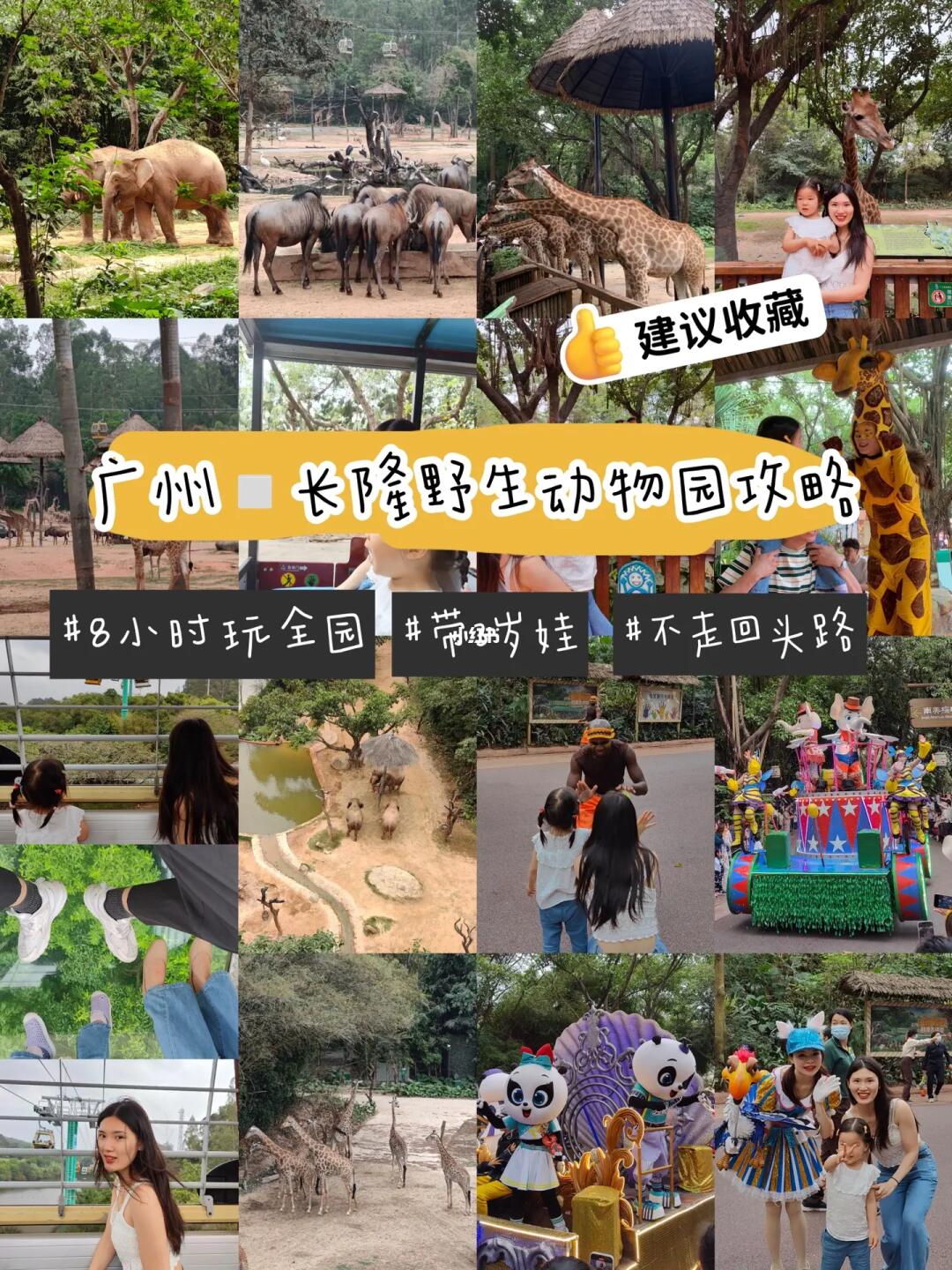 广州长隆｜1天刷完野生动物园‼️保姆级攻略