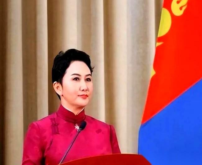 “西伯利亚力量2号”天然气管道，一条价值上千亿的能源大动脉。
图纸上，那条粗壮的