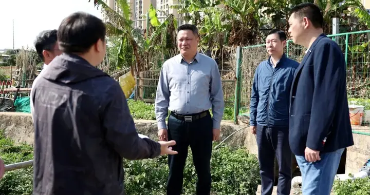 漳州台商区管委会主任一线督导城建交通与生态环保整治项目建设