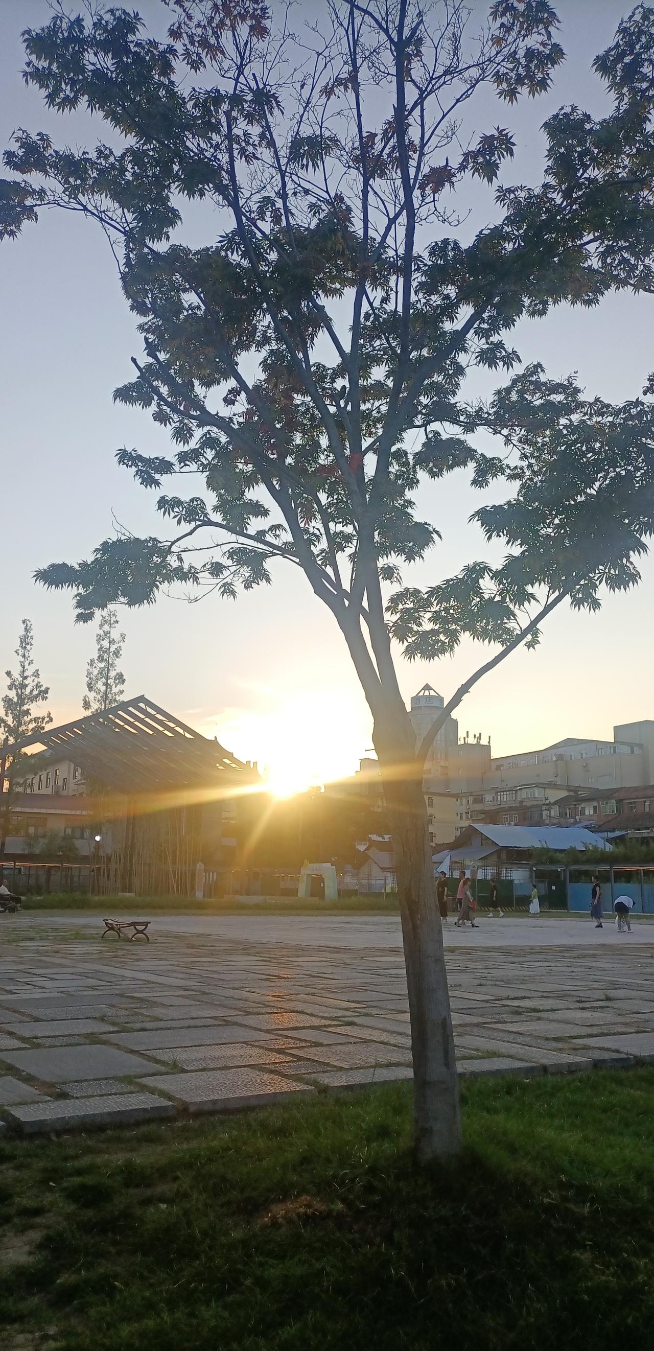 【夏之韵·端午节的夕阳】分享一张最近随手拍的照片
端午节。
夕阳映照天地间。
