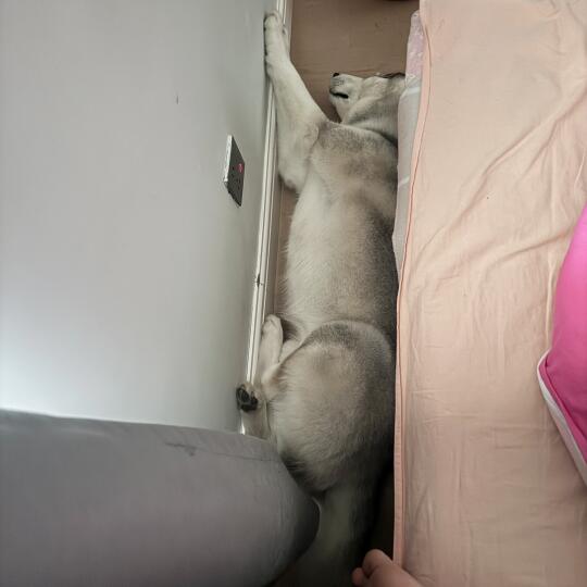 这是什么睡姿？