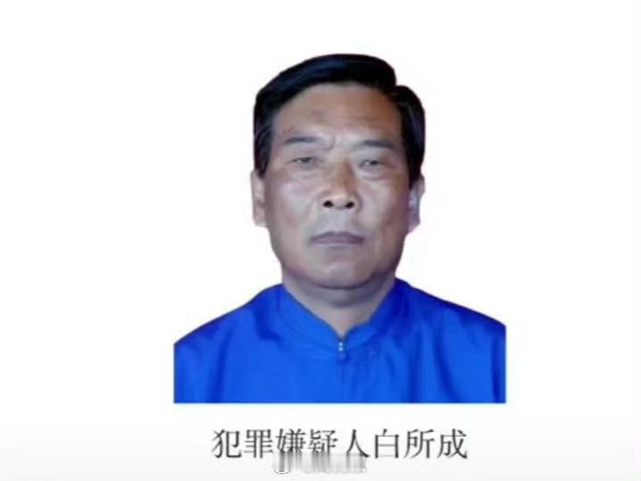 我国对白所成的通缉令都发出来二十多天了，同盟军对老街的控制也势在必得了，就是不见
