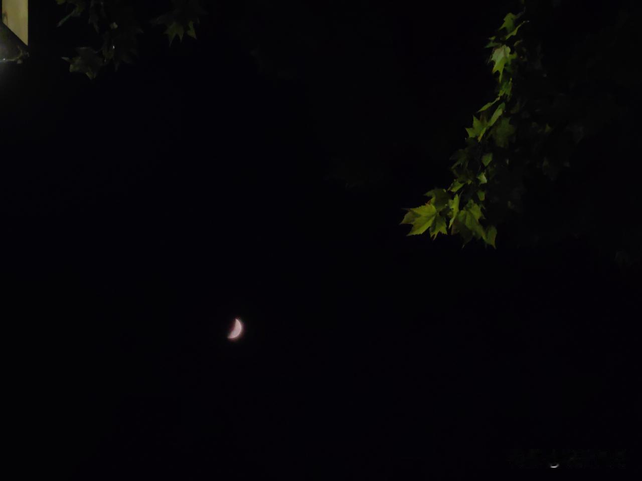 不觉风起送酷暑，枝头落叶惊早秋。八月初七夜，弯月如钩，心似柳。
尤记去年今日事，