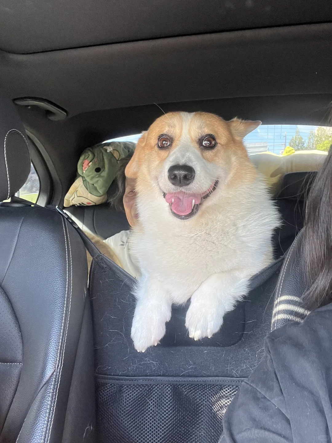 把空调开最大！