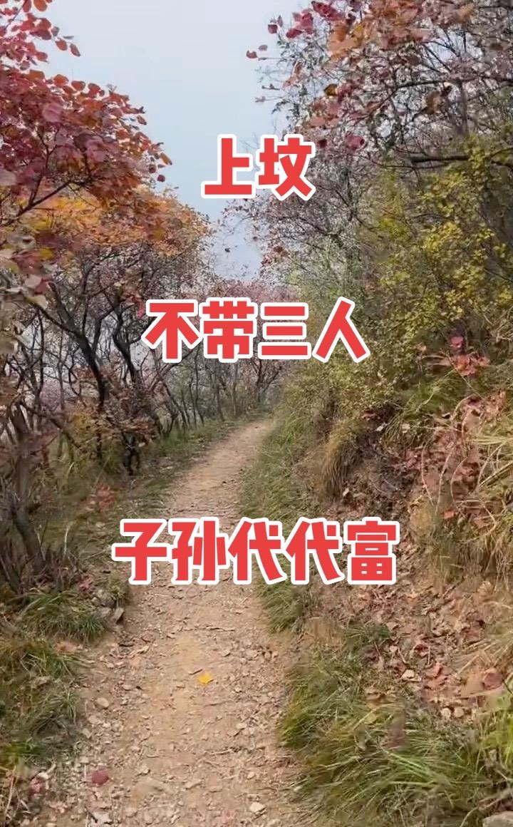 古村落风景  大山里的原生态 抖出你的家乡美景 走进大山深处感受自然之...