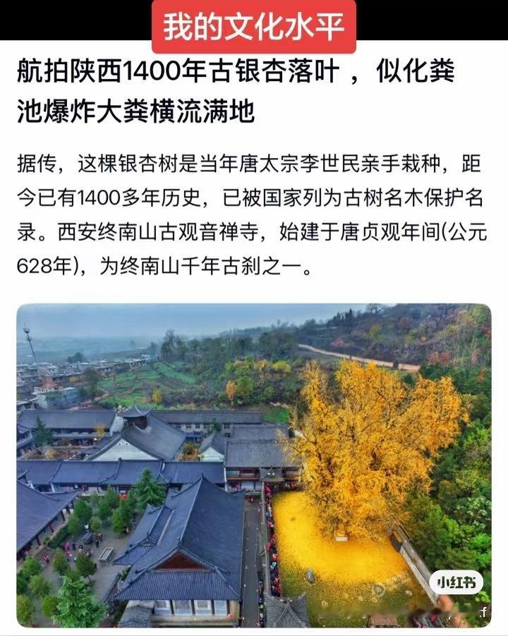 刷到这个我笑了好久…… ​​​