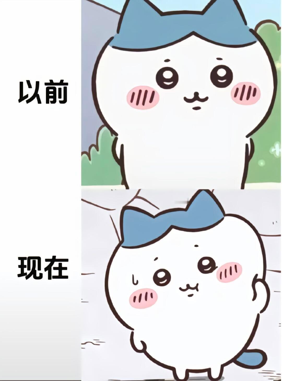 小八圆滚滚 大白面馒头和小猪萨奇 