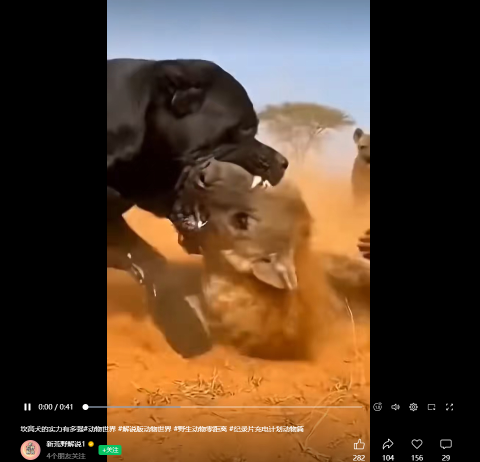 烈性犬也是狗粉所说的“毛孩子”、“应该被保护的小动物”、“伴侣”、“家人”、“所