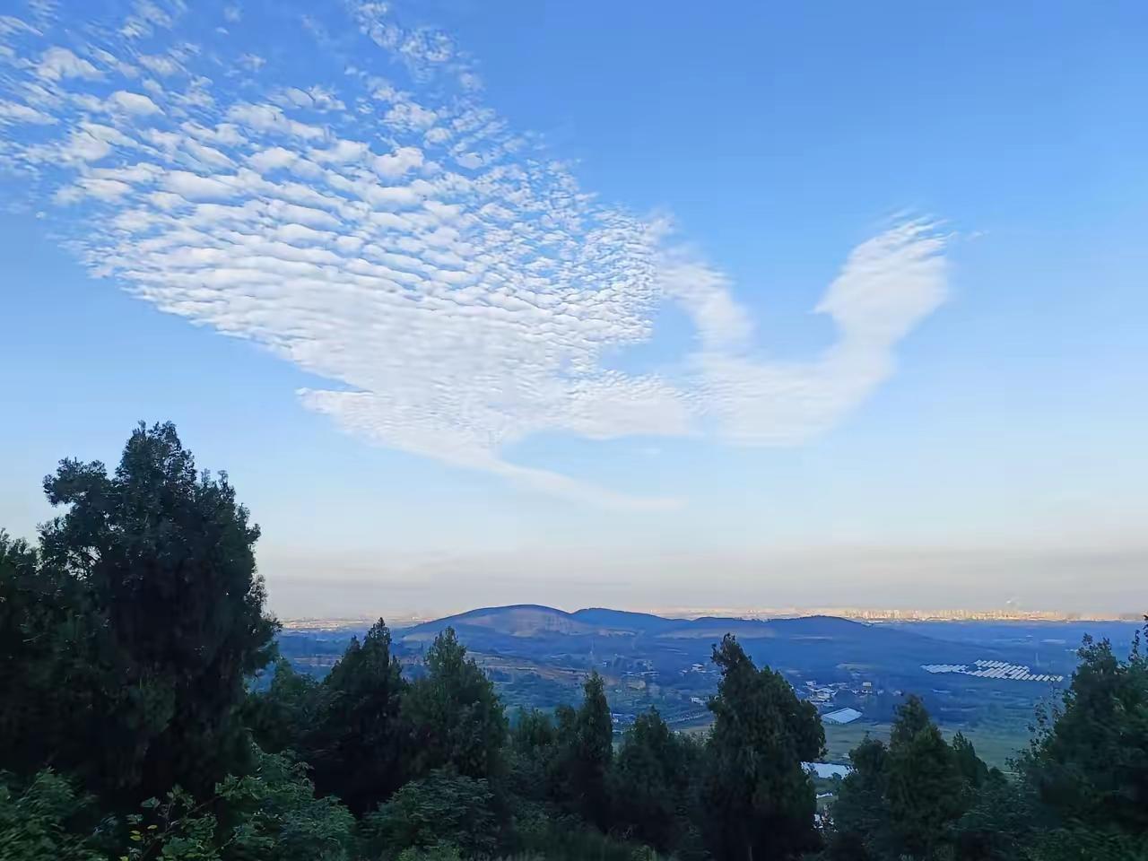 紧急通知！大家注意啦，从1月8号到1月25号三九、四九时段已经进入一年中最冷的时