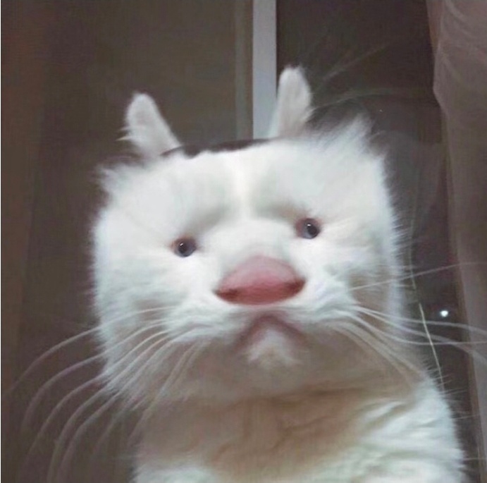 有个朋友发表感慨，这些年炒a股全炒马斯克身上了。以前炒光伏，马斯克搞了太阳城。炒