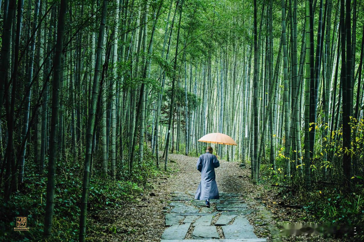 竹径幽深，清风伴独行。
一伞烟雨，一步清宁。
不问尘世喧嚣，只赴山林寂静，
在万