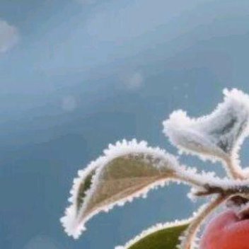 正能量正能量 人生就是这样，在坚持中去寻找希望；在无果的事上学会放弃，保持良好的