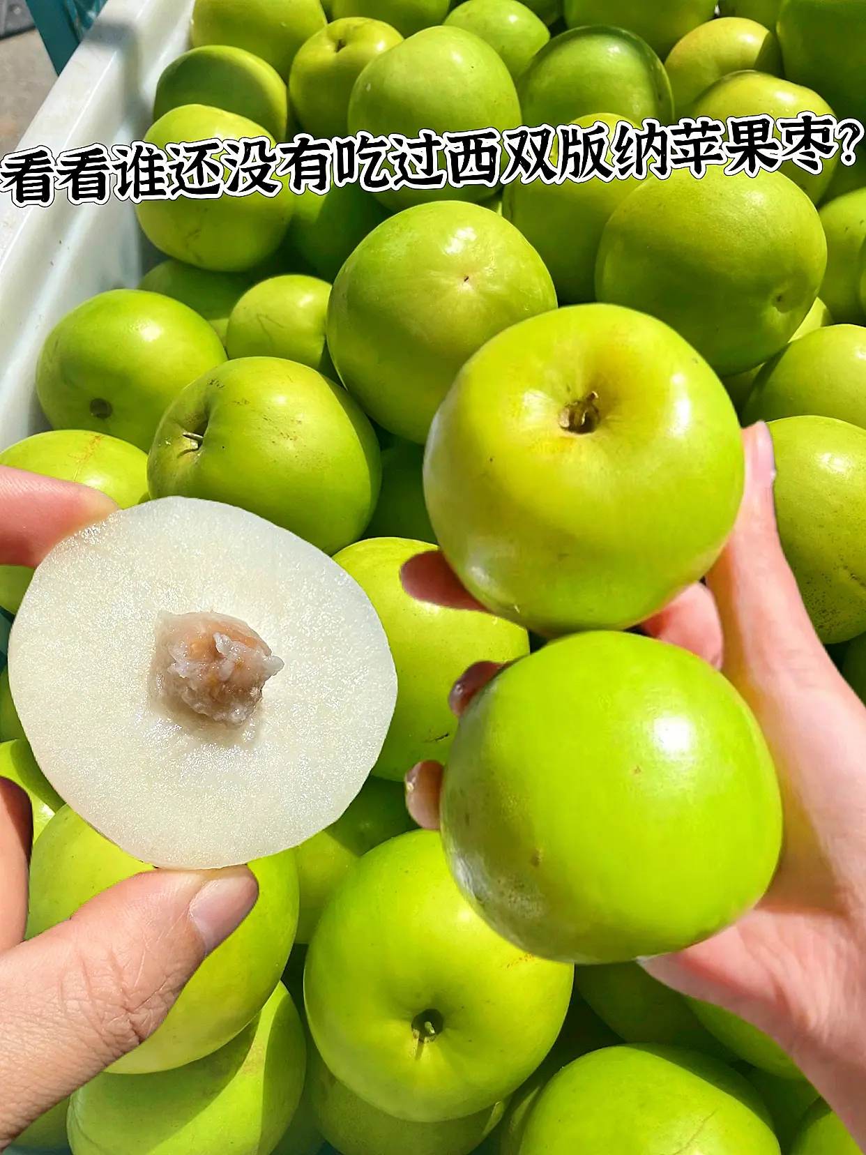 小众水果：西双版纳苹果枣！味道绝了~ 我不允许还有人没吃过它！  不是...