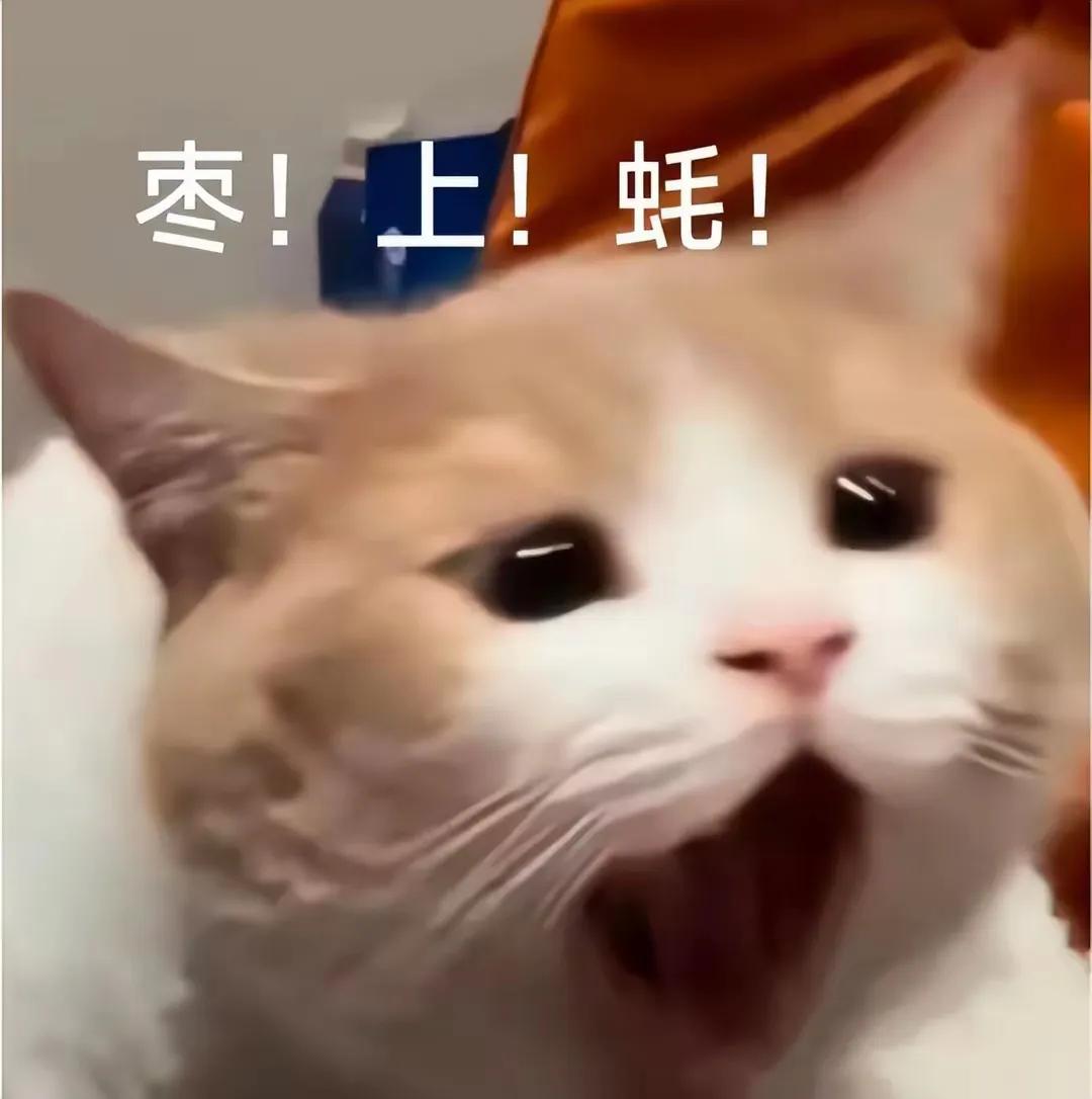 你是我心中的北极星，指引我在人生的海洋中，不迷路，只迷你。