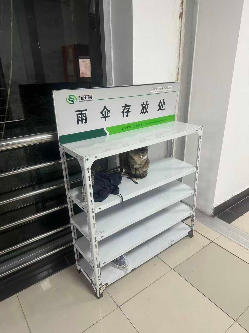 14621只狸妈么 你的雨伞丢了… 