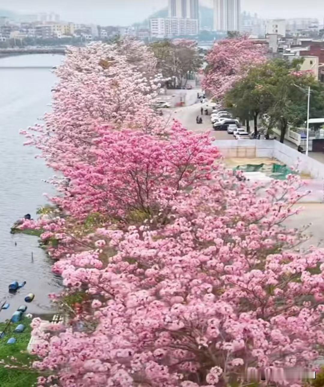 有些玄学，科学真的无法解释
人去世前是有征兆的，你会看到一些反常的现象。
虽说生