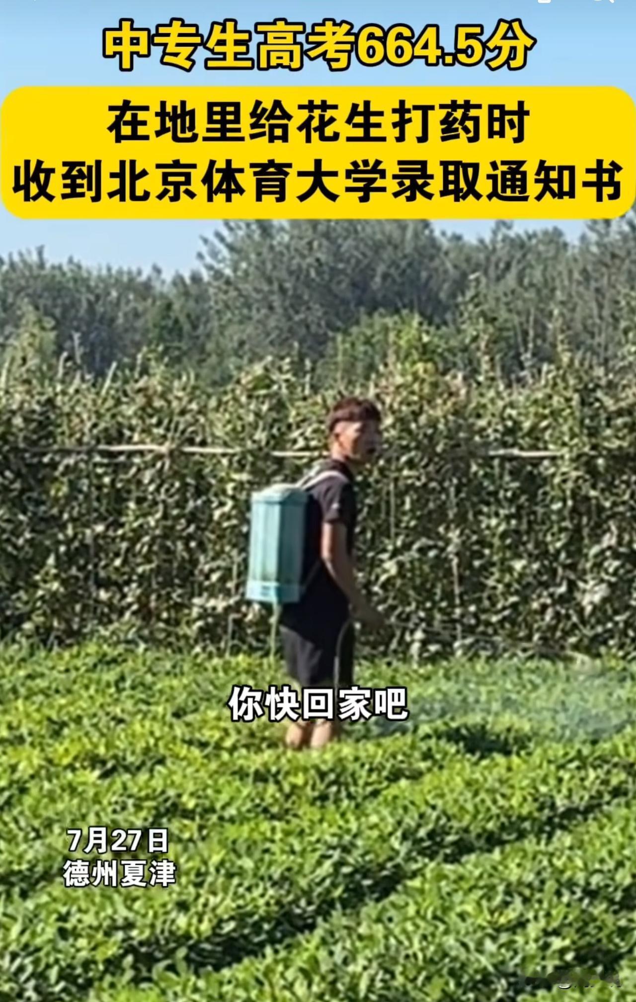#MCN双量进阶计划#“励志！”山东德州，一位男孩给家里花生打药时，收到北京体育