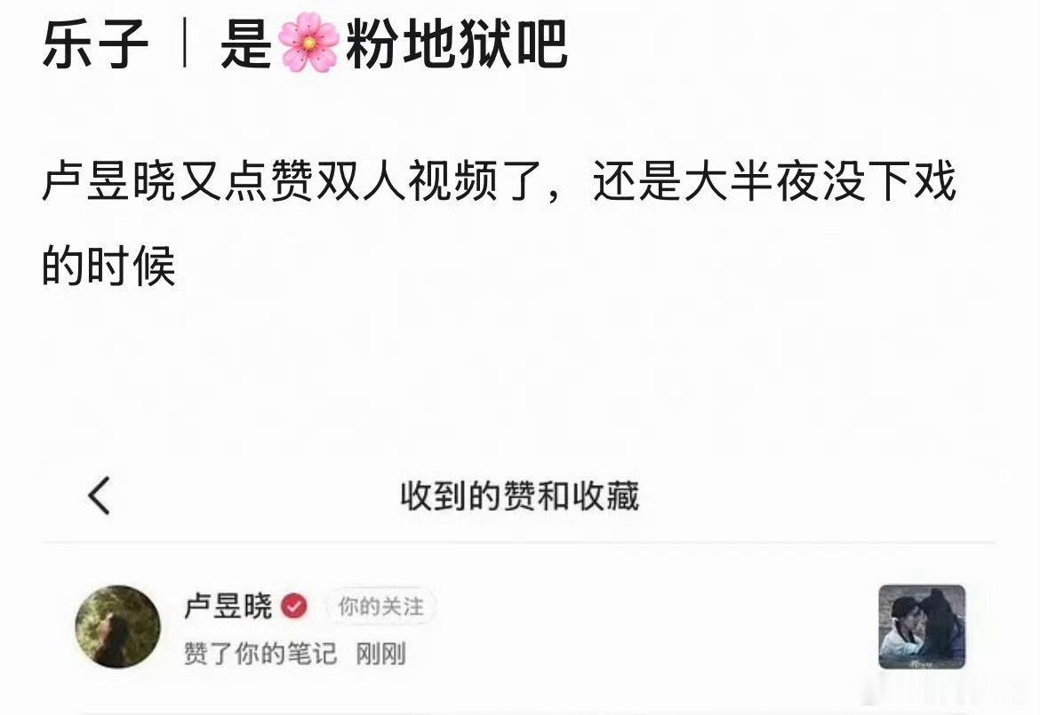 每个cp都点赞就相当于每个都没点 卢昱晓点赞双人视频