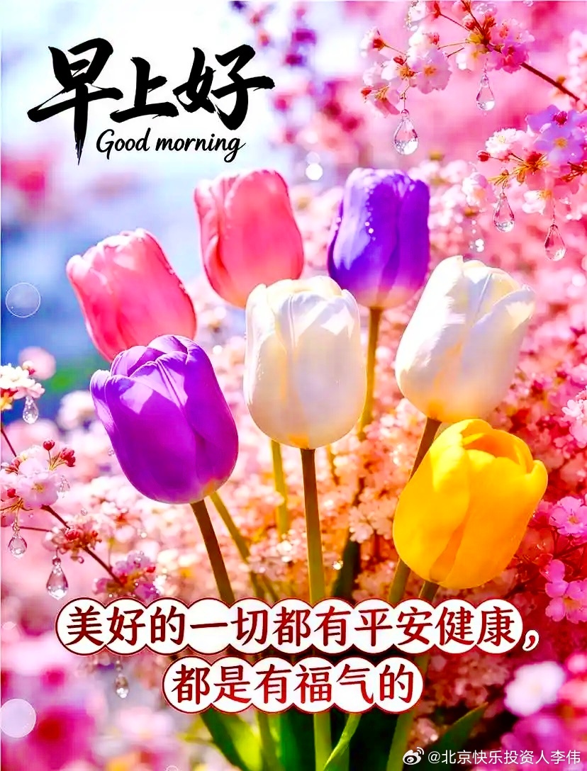 早上好：人这一辈子，也许天赋决定了上限，但奋进决定了下限。不要因为年龄而自我设限