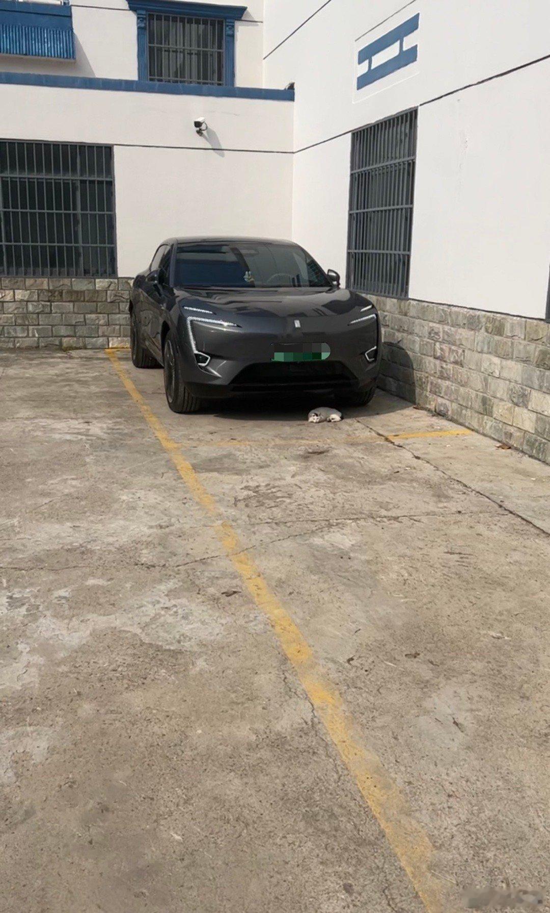 ads4.1阿维塔马年大吉﻿ 过节去咯，7天不开这过时玩意了。停这里不怕开门杀哈