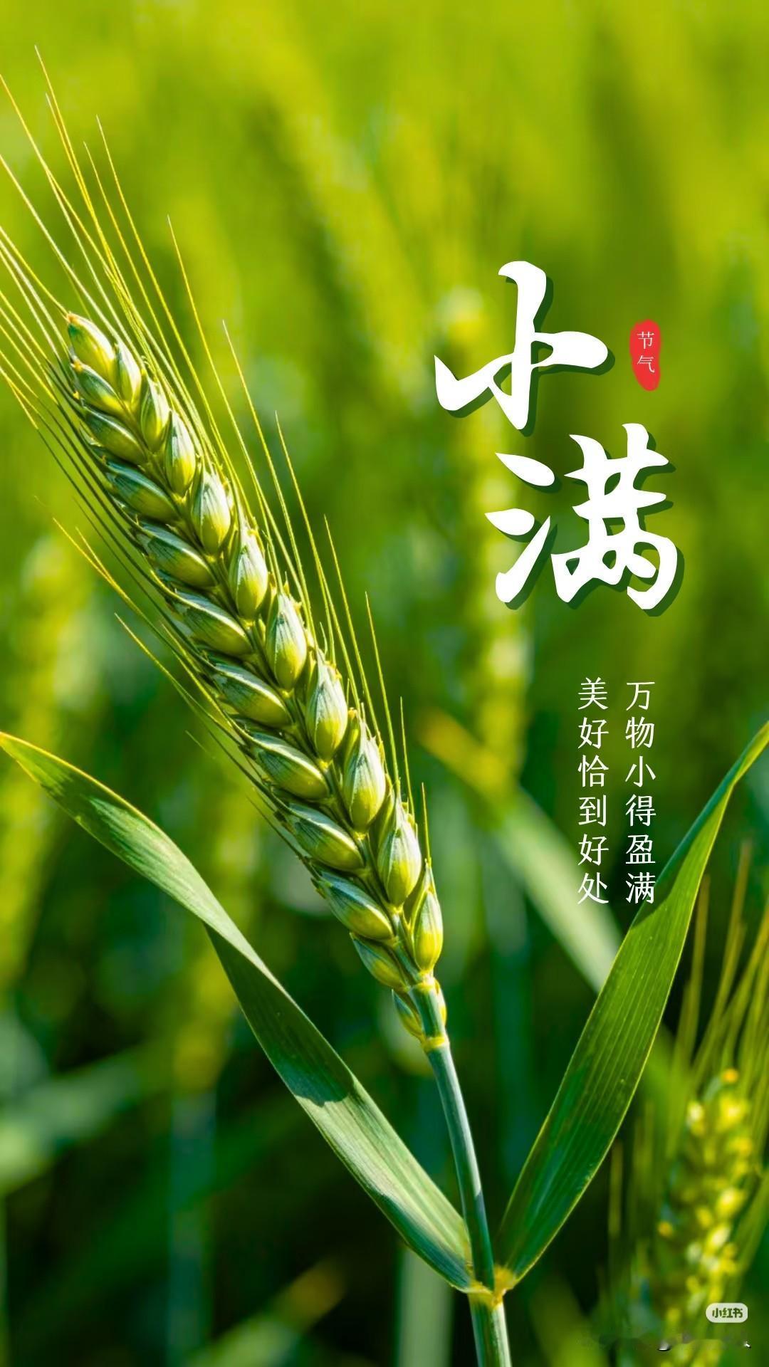 美好恰到好处
万物小得盈满