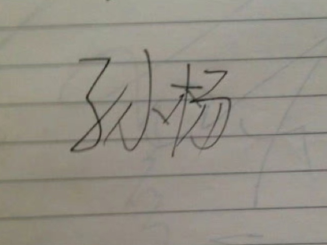 18.0   『9650』2003→2011→2016→202512岁→20岁→