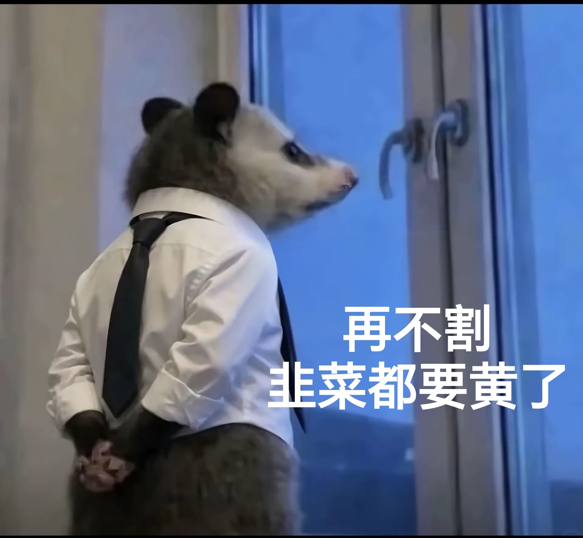 hdl现在流程走的是不是有点太快了🤔按理说都是剧播完卖一两个月➡️减少双人直播