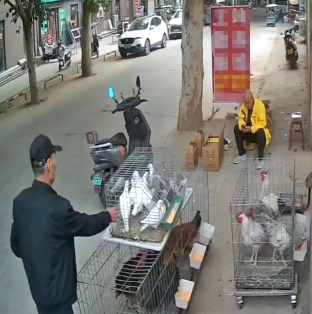 “太无语了！”10月25日报道，河南郑州，一老人骑着三轮车，然后停在一笼鸽子面前