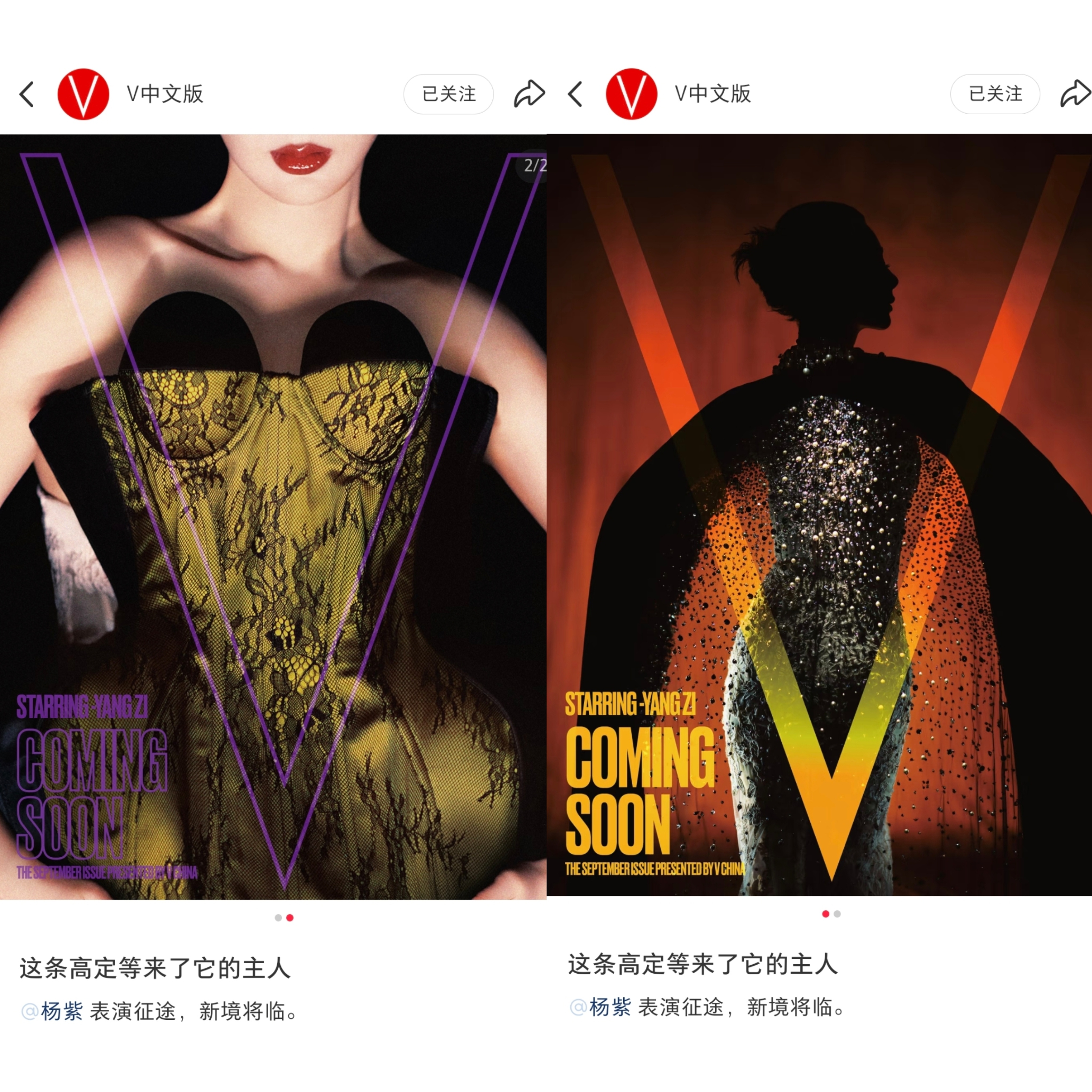 V中文版红薯标题: 这条高定等来了它的主人