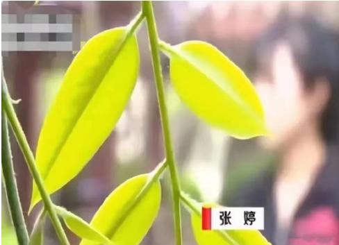 “电视剧都没这么狗血！“山西太原，一女子暗恋闺蜜的老公多年。这天，女子突然对闺蜜