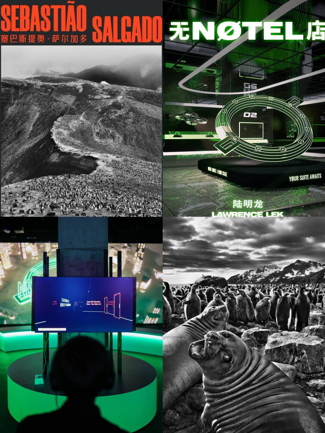 上海新展！摄影人狂喜！萨尔加多来了📸