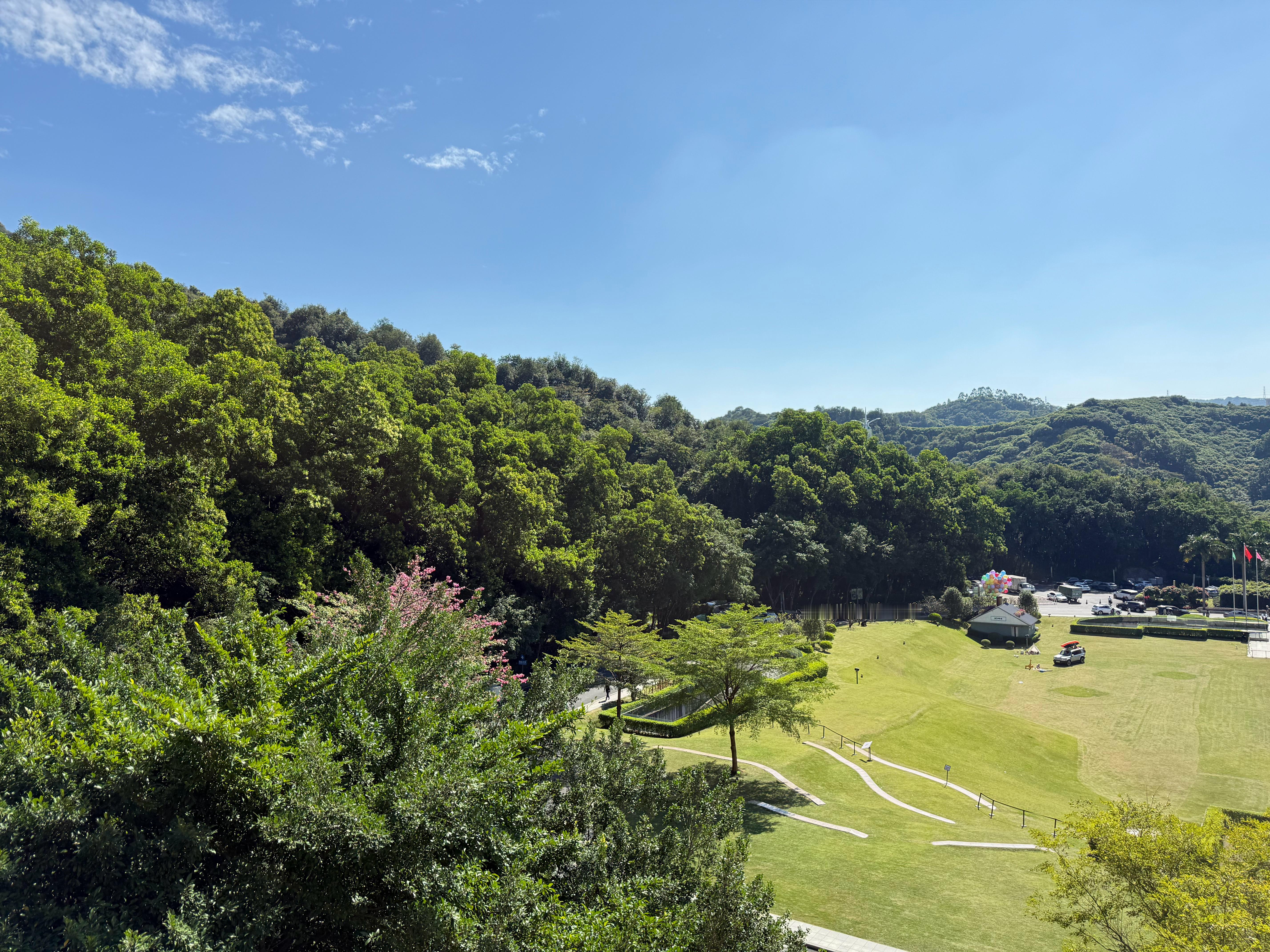 起床的风景真不错呀！大家都醒了吧 