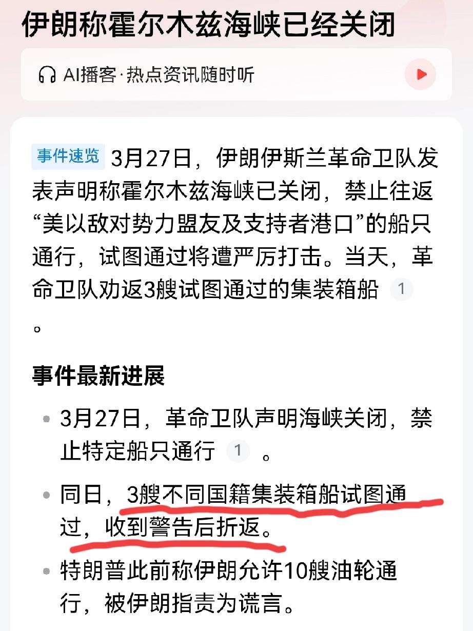 3艘不同国籍集装箱货船被警告后返航。