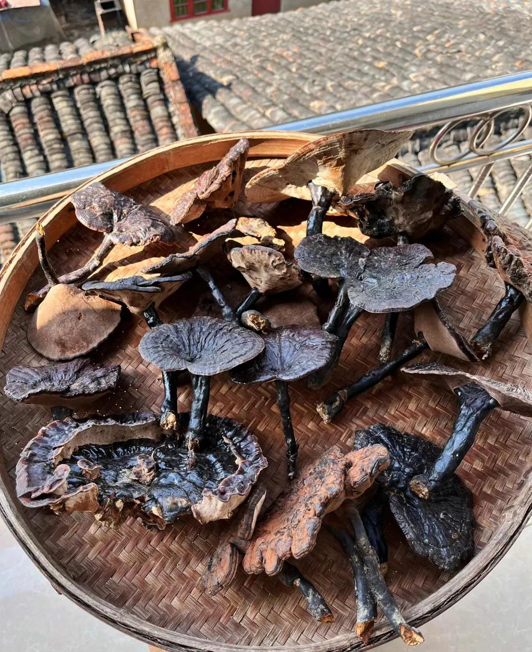 正宗野生灵芝靓货，己晒干了。