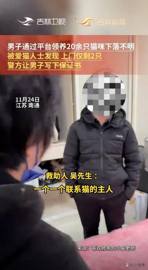 “严查到底！”江苏南通，一男子半个月的时间内，领养了约30只猫，这引起了爱猫人士