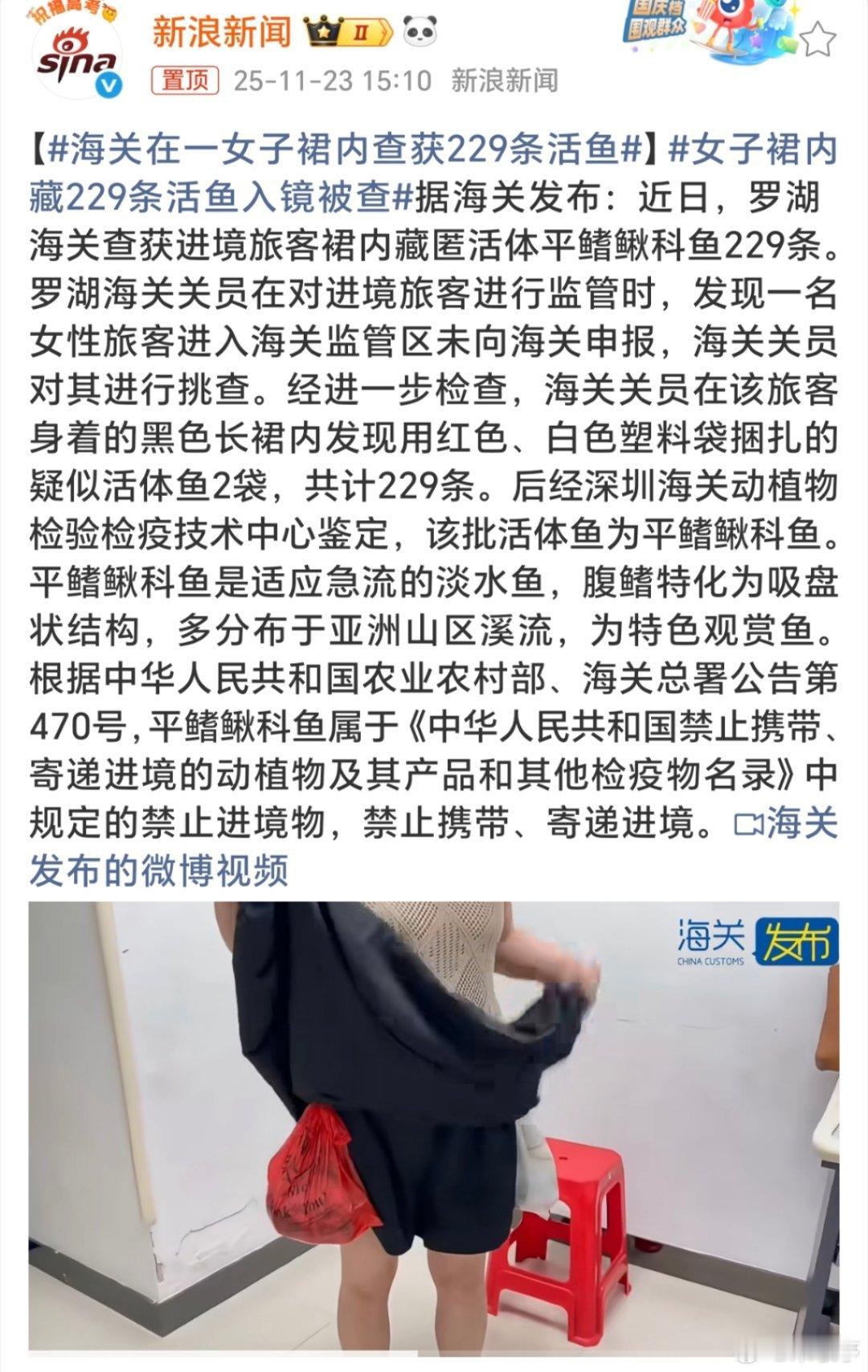 这拙略的办法是质疑海关的智商吗？这不被抓包还等啥…… 