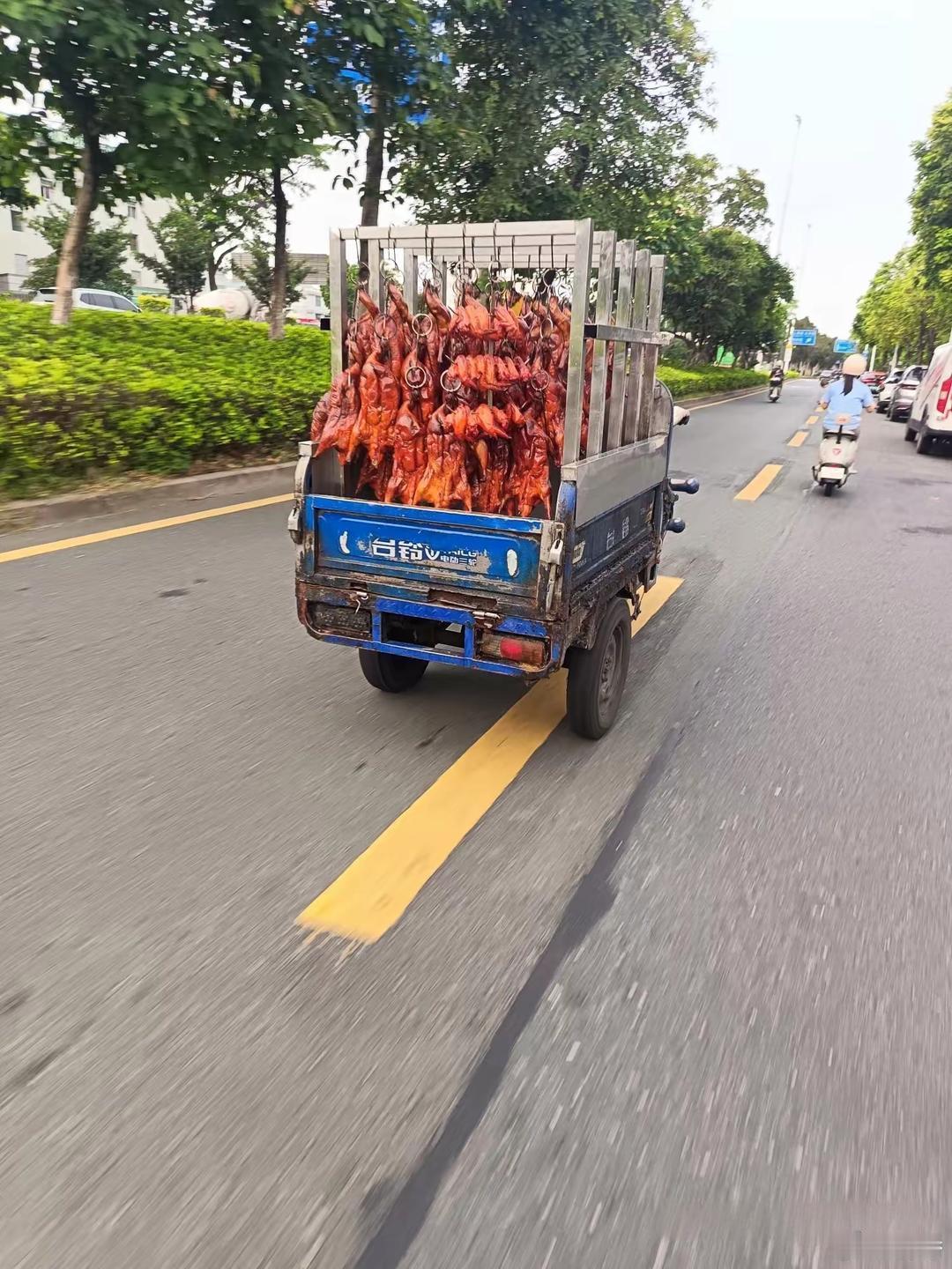 公路上看到的你还吃吗？连个罩住避开灰尘的都没有吗？ 